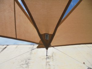 DSC00355