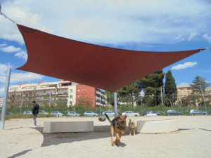 DSC00271