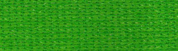 Bright Green Swatch Bright Green Swatch